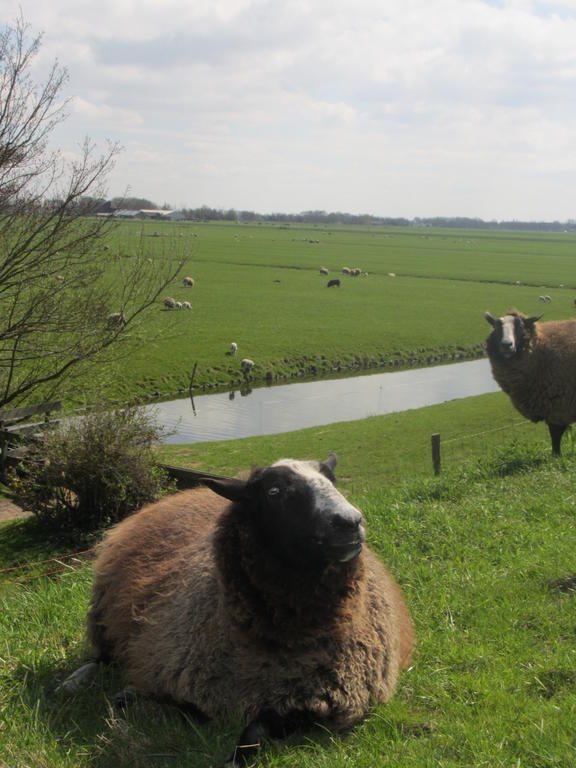 Bed&Brood De StraVerdonk Graft Zimmer foto