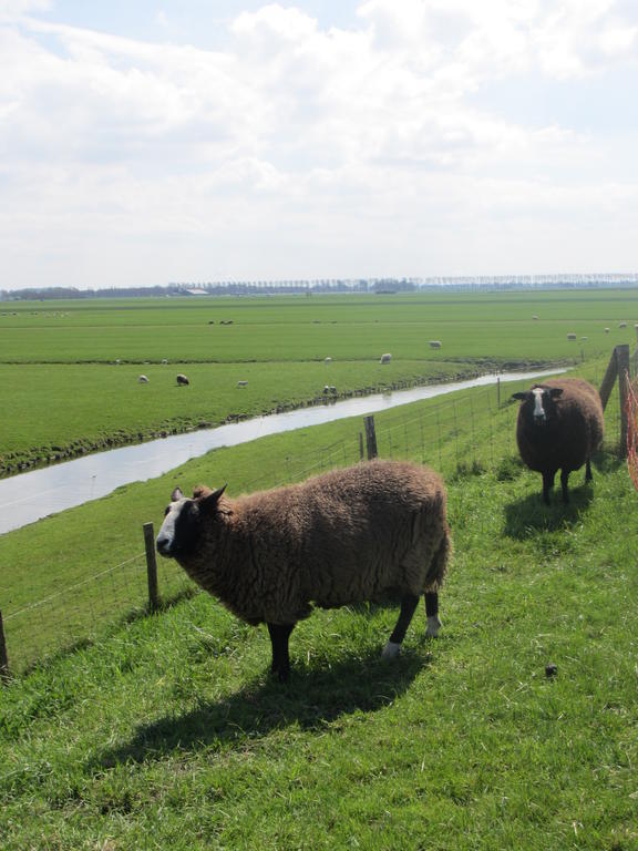 Bed&Brood De StraVerdonk Graft Zimmer foto