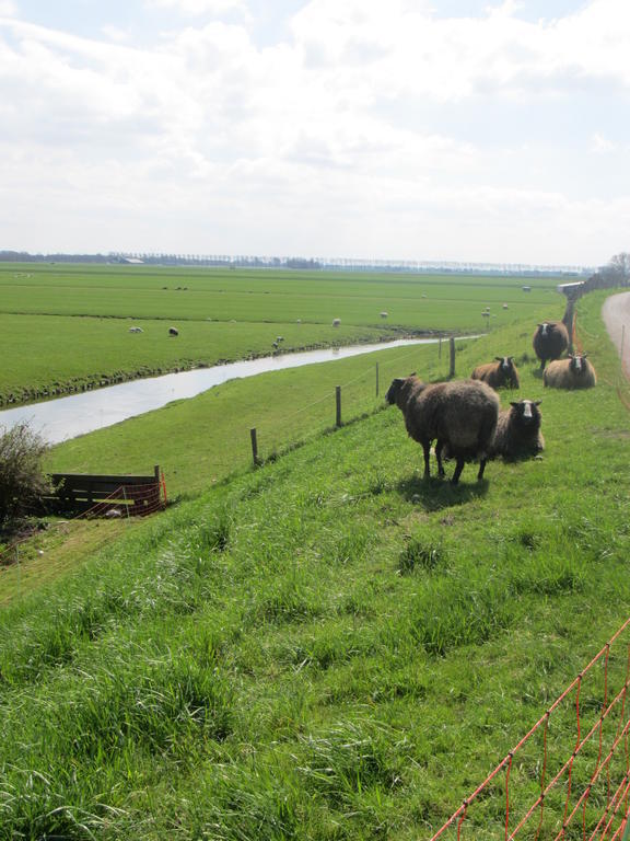 Bed&Brood De StraVerdonk Graft Zimmer foto